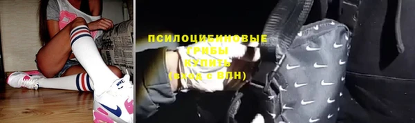 марки lsd Белокуриха
